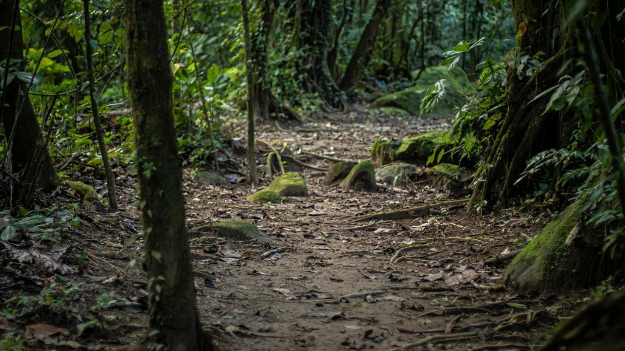 Hotel Rancho Cerro Azul La Fortuna Luaran gambar